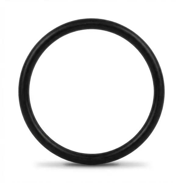 JOINT TORIQUE 10″ POUR PORTE-FILTRE OSMOSEUR